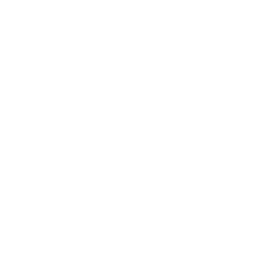 Active Students