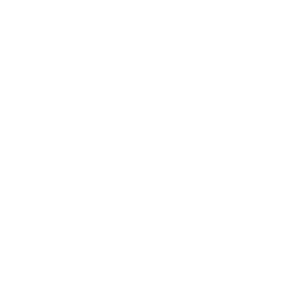 1-on-1 Attention